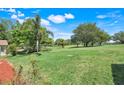 Expansive backyard featuring well-maintained grass and mature trees, providing a serene outdoor space at 1159 Greenley Ave, Groveland, FL 34736