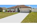 Well-maintained single-story home with a two-car garage, a clean driveway, and vibrant landscaping at 11995 Callicarpa Ln, Leesburg, FL 34788