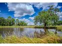 Scenic view of the property with a peaceful pond, lush trees and view of the home in the background at 15141 Farm Rd, Groveland, FL 34736