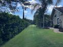 Long driveway leading to property, framed by lush greenery and mature trees at 3511 Fox Lake Dr, Apopka, FL 32712