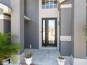 Stunning front door with decorative glass, flanked by columns and lush tropical plants at 13519 Bristlecone Cir, Orlando, FL 32828