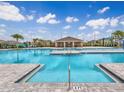 Large pool area with lounge seating and covered picnic area at 2048 Airedale Way, Lake Alfred, FL 33850