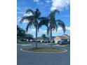 Neighborhood view with palm trees in the roundabout and well-maintained lawns and landscaping at 20631 Prince Ranier Pl, Leesburg, FL 34748