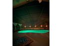 Enjoy a late-night swim in the pool with relaxing lighting, complete with a screened-in enclosure and a fire pit at 13319 Via Roma Cir, Clermont, FL 34711