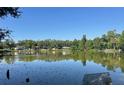 Scenic lake view with calm waters surrounded by lush greenery and clear blue sky at 504 S 12Th St, Leesburg, FL 34748