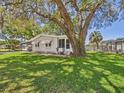 Inviting single-story home with covered parking and lush green lawn with mature tree at 715 Megan Circle, The Villages, FL 32159
