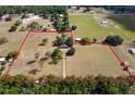 Sprawling acreage with property lines drawn over a vast lot, including trees, outbuildings, and open fields at 19726 Mccall Rd, Altoona, FL 32702