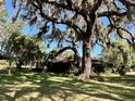 Picturesque backyard featuring a mature tree, lush lawn, and partially-obscured view of the home's exterior at 19726 Mccall Rd, Altoona, FL 32702