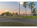 Scenic street view showcasing a charming home with a white picket fence, lush landscaping, and palm trees at 33801 Picciola Dr, Fruitland Park, FL 34731