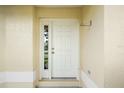 Close-up of the white front door with a sidelight window and neutral walls at 17238 Se 94Th Coults Cir, The Villages, FL 32162