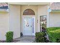 Beautiful front entrance with glass door and side window for natural light at 236 Juniper Way, Tavares, FL 32778