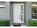 Close-up of the front door area featuring a white door with a side window at 30236 Pga Dr, Sorrento, FL 32776