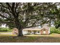A sprawling tree frames the exterior of a cozy house with brick and siding details on a large lot at 17728 Palm View Cir, Mount Dora, FL 32757