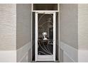 Close up of the decorative security screen door with a palm tree design at 3584 Tropical Seas Loop, Tavares, FL 32778
