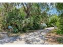 View of a long driveway leading up to a gated home with lush landscaping and trees at 300 Carol Ann Dr, Edgewater, FL 32132