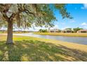 Waterfront backyard featuring well-manicured lawn and mature tree, offering serene views at 2641 Meadow View Ct, Kissimmee, FL 34746