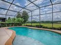 Refreshing screened-in pool with tanning ledge and serene views of the manicured lawn and mature trees at 718 Lake Douglas Dr, Groveland, FL 34736