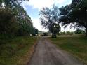 Gravel driveway leading to a metal building surrounded by trees and vegetation on a partly sunny day at 7701 Groveland Farms Rd, Groveland, FL 34736