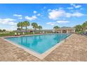 Community pool with clear blue water, surrounded by palm trees, lounge chairs, and a covered area at 169 Jensen Dr, Groveland, FL 34736