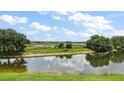 Lush backyard view showcasing a serene pond and stunning green space for outdoor activities at 24346 Amberleaf Ct, Leesburg, FL 34748