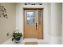 Inviting front door entrance featuring a decorative welcome mat and potted plants adding a warm touch at 24346 Amberleaf Ct, Leesburg, FL 34748