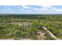 Aerial view of cabin located on acreage including a serene pond surrounded by lush, mature trees at 41513 Aspen St, Eustis, FL 32736