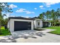 Side view of a modern home highlighting the dark garage door, a paved driveway, and lush landscaping at 42191 Cashew St, Eustis, FL 32736
