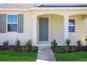 Inviting front entrance featuring elegant gray door framed by white columns and fresh landscaping at 5125 Waypointe Blvd, Apopka, FL 32712