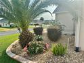 Landscaped garden bed with tropical palm trees, flowers, stone cover, and brick border at 11277 Se 170Th Ln, Summerfield, FL 34491