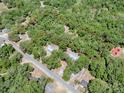 Aerial view of a wooded parcel of land outlined in red at 1203 High St, Wildwood, FL 34785