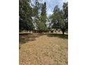 Expansive backyard view featuring mature trees and the rear of the home with a covered porch at 23130 Brouwertown Rd, Howey In The Hills, FL 34737