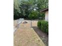 A chain-link fence secures this large backyard, partially covered in dry grass and shaded by mature trees at 2421 Centennial Blvd, Leesburg, FL 34748