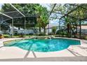 Stunning screened-in pool with beautiful landscaping and small water feature offers a private outdoor retreat at 3141 Brighton Rd, Eustis, FL 32726