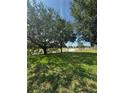 Beautiful backyard with lush green grass, mature trees, and view of a golf course at 33818 Venice Ln, Sorrento, FL 32776