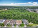 Aerial view of home surrounded by lush greenery, showcasing its serene and private location at 8530 Vivaro Isle Way, Windermere, FL 34786