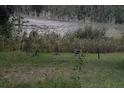 Peaceful backyard overlooking a lake with natural vegetation and wildlife at 17873 E Highway 40, Silver Springs, FL 34488