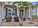 Inviting front entrance with decorative glass door, stone accents, and lush tropical landscaping with palms at 3677 Arlington Ridge Blvd, Leesburg, FL 34748