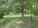 Scenic backyard view featuring a mature tree and access to a lush green landscape at 563 Dowling Cir, Lady Lake, FL 32159