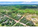 Aerial view showcases property boundaries and its placement amongst the surrounding forests at 11920 Kijik Trl, Groveland, FL 34736