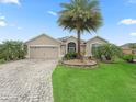 Inviting home with lush lawn, lovely landscaping, brick driveway, and a prominent palm tree at 631 Independence Path, The Villages, FL 32163