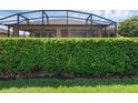 A green hedge surrounds the screened-in lanai in this home's backyard at 453 Treviso Dr, Poinciana, FL 34759