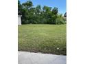 The expansive backyard features lush greenery and ample space for outdoor activities at 1022 E 3Rd Ave, Mount Dora, FL 32757
