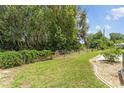 Lush green backyard with a fence line and mature trees providing privacy at 1303 E Schwartz Blvd, The Villages, FL 32159