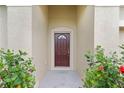 Welcoming front door entrance with decorative plants and warm, inviting curb appeal at 2424 Plumadore Dr, Grand Island, FL 32735