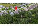 A house amongst other houses, partly hidden behind a line of trees at 4581 Shenandoah River Trl, Leesburg, FL 34748