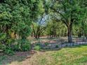 View of large fenced backyard with mature trees at 10994 Se 168Th Loop, Summerfield, FL 34491