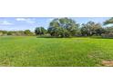 Spacious and well-maintained green lawn, surrounded by mature trees, fenced, and perfect for outdoor activities at 15245 Arabian Way, Montverde, FL 34756