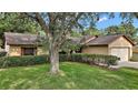 Charming single-story home with a well-maintained lawn and privacy landscaping, offering curb appeal at 501 Cherry Tree St, Eustis, FL 32726