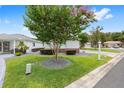 Well-maintained home featuring a lush green lawn, decorative shrubs, and mature flowering trees at 8608 Se 141St Street Rd, Summerfield, FL 34491