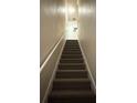 Carpeted staircase with white railings leading to the upper level of the home at 130 Southern Pecan Cir # 204, Winter Garden, FL 34787